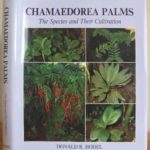 Chamaedorea Palms - The species and Their CultivationCatalog No. C2