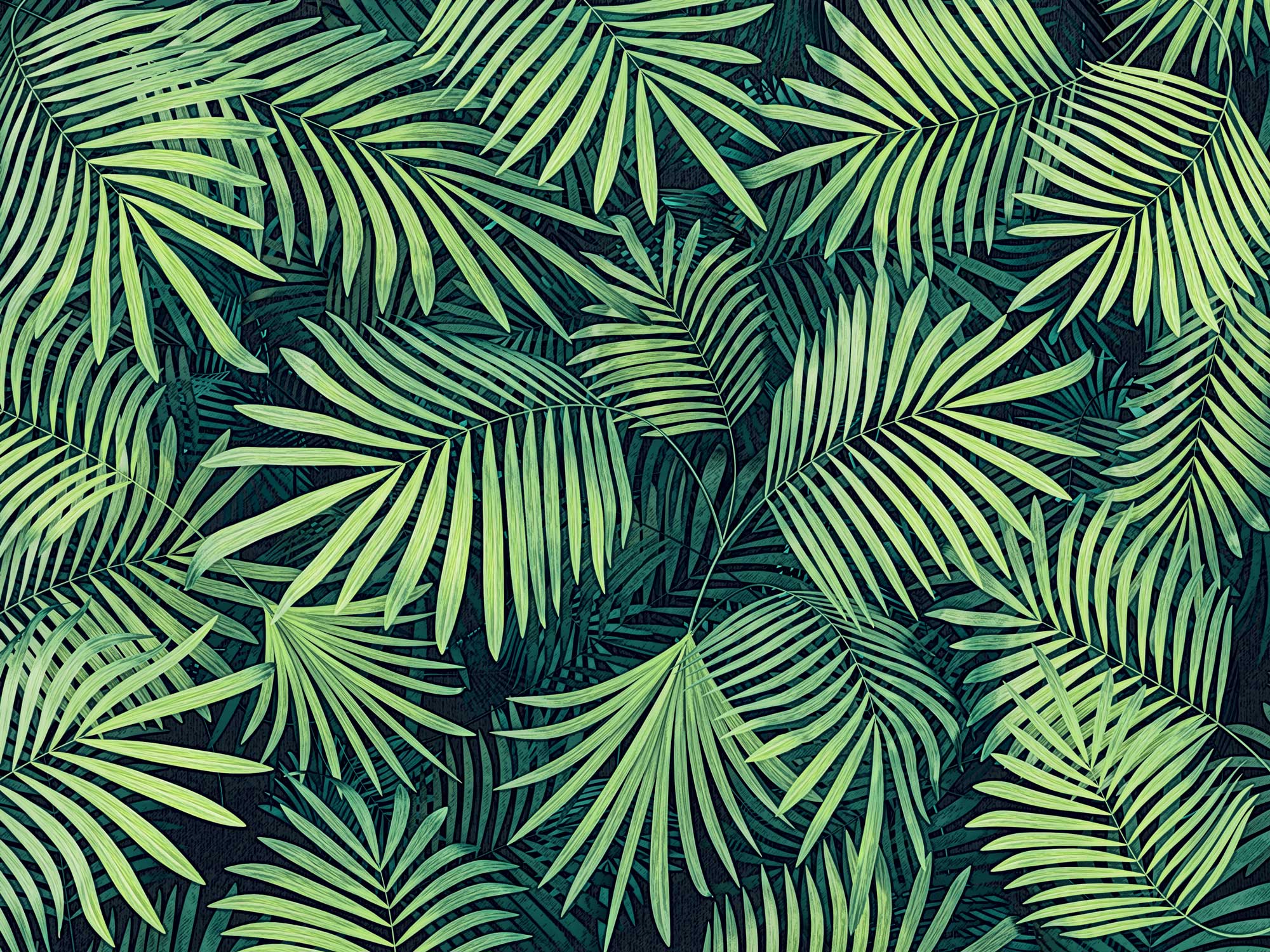 palm pattern